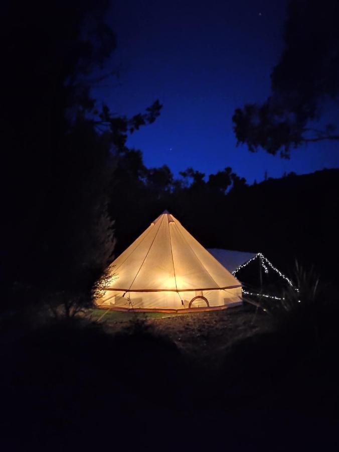 Glamping At Zeehan Bush Camp Buitenkant foto