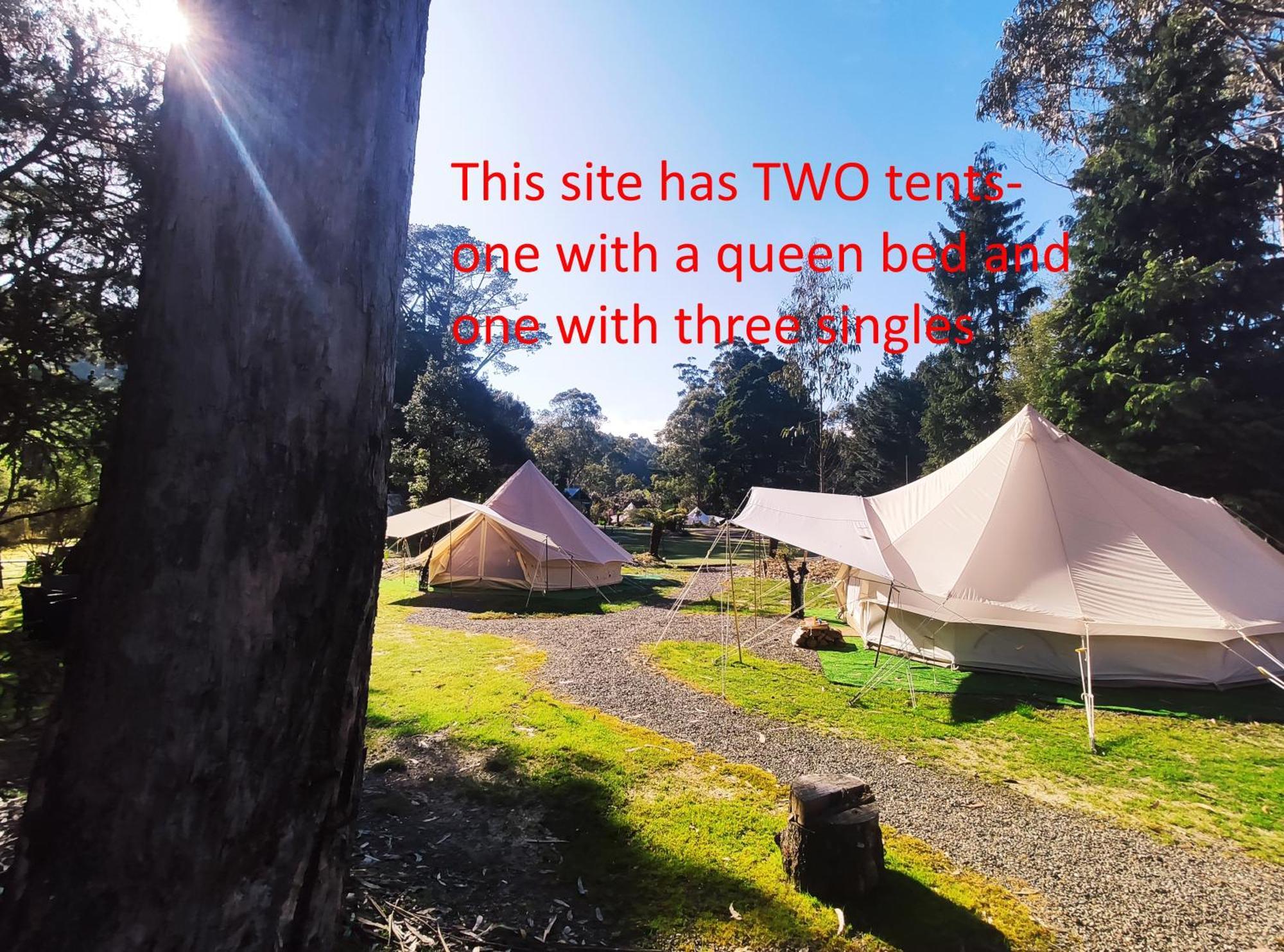 Glamping At Zeehan Bush Camp Buitenkant foto