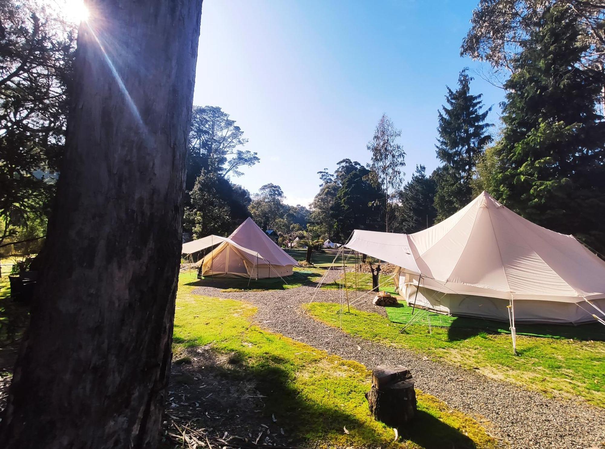 Glamping At Zeehan Bush Camp Buitenkant foto