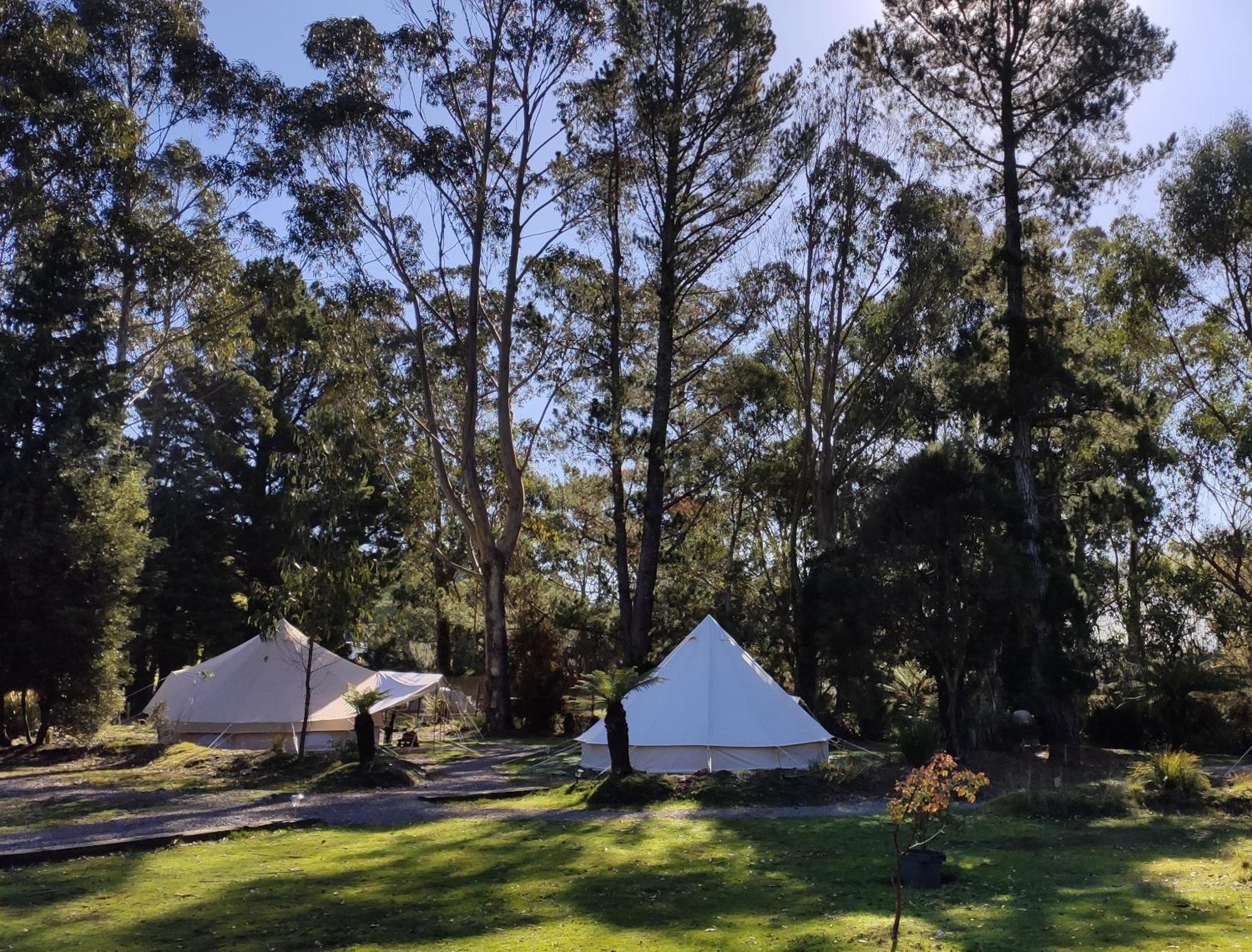 Glamping At Zeehan Bush Camp Buitenkant foto