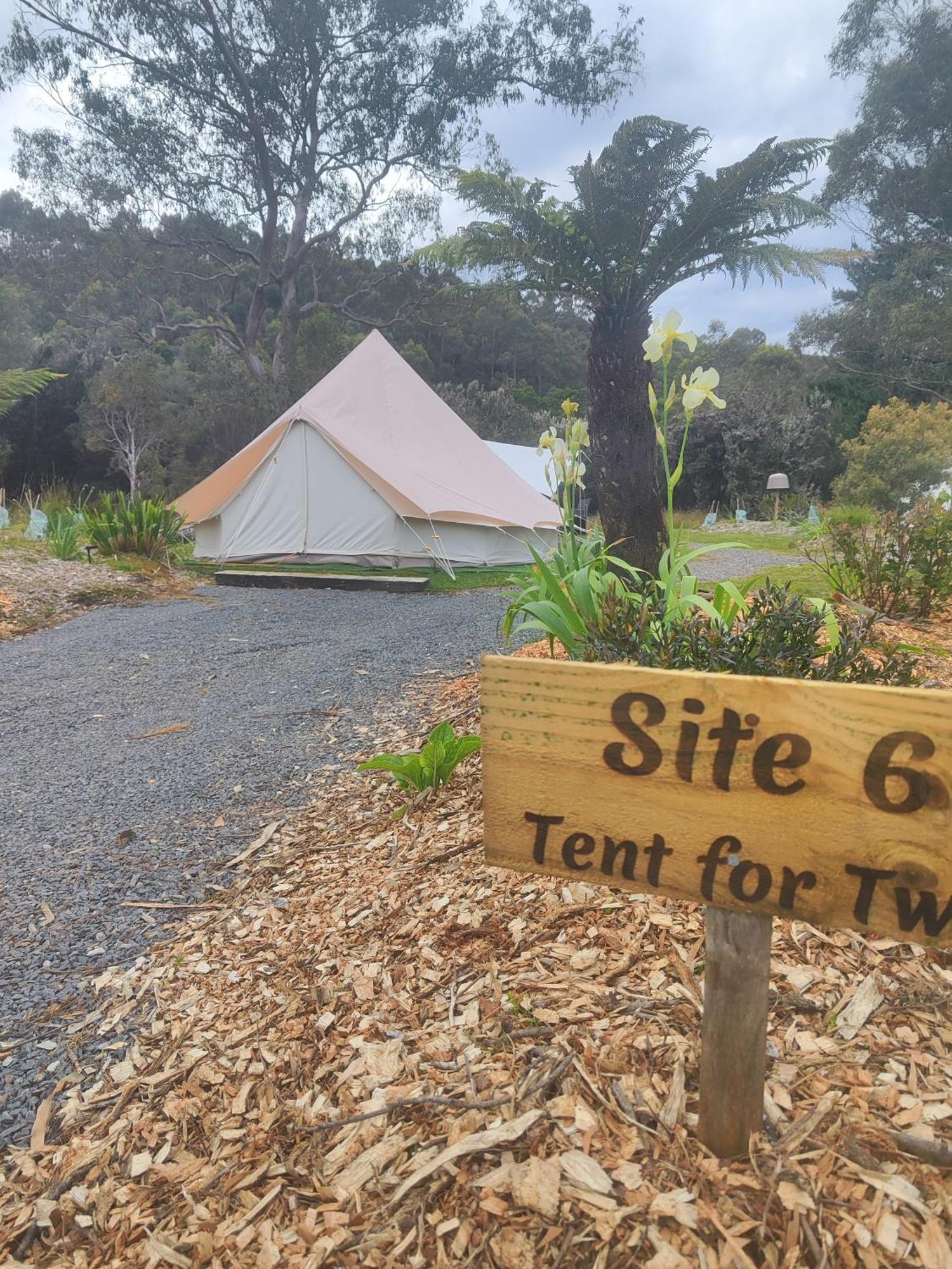 Glamping At Zeehan Bush Camp Buitenkant foto