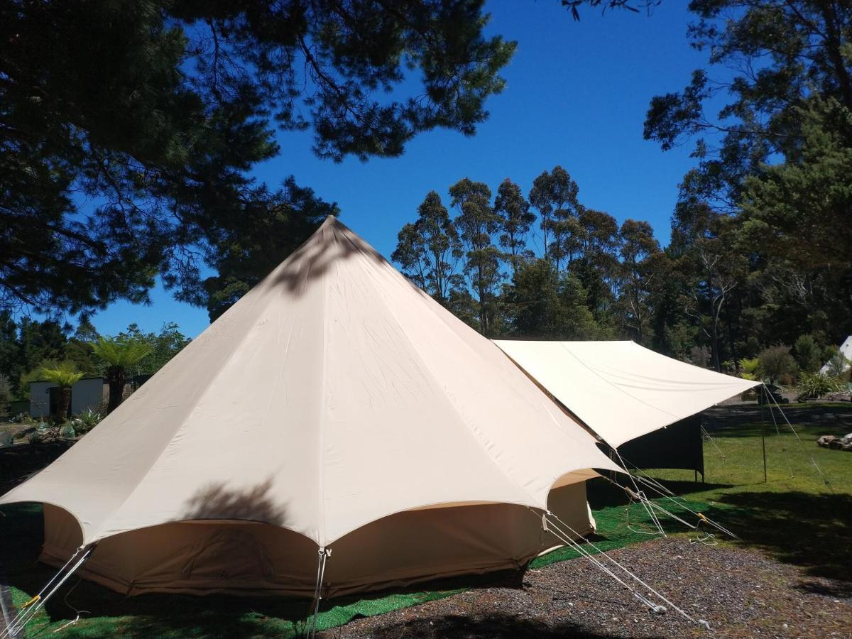 Glamping At Zeehan Bush Camp Buitenkant foto