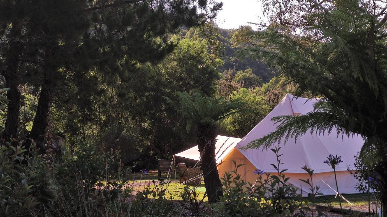 Glamping At Zeehan Bush Camp Buitenkant foto