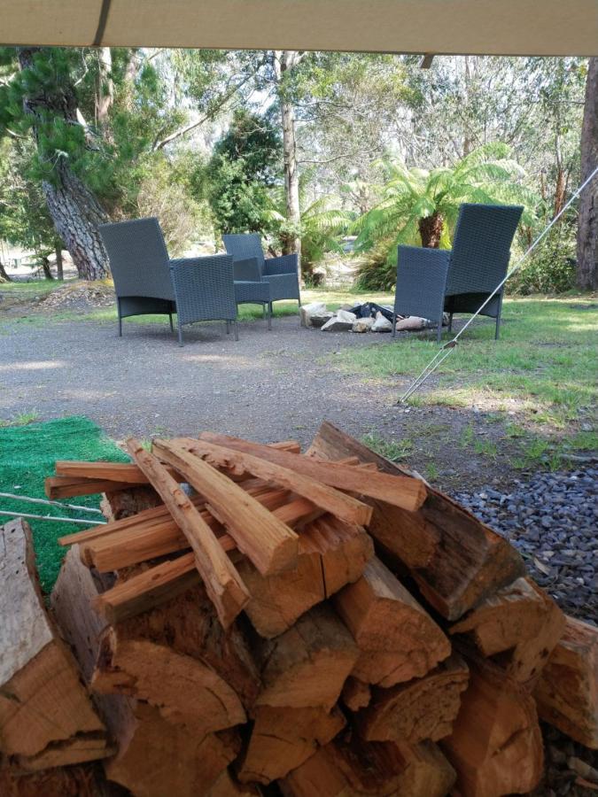 Glamping At Zeehan Bush Camp Buitenkant foto